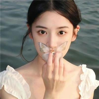 战地女护士 高清封面